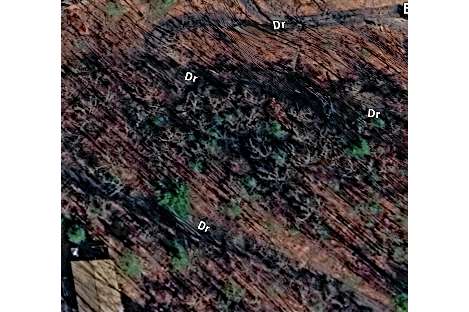 Topographic aerial map of the parcel